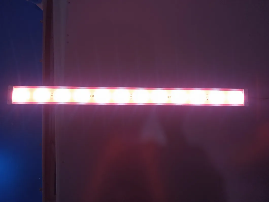 1.2m 2021 New Design LED Lights for Plants LED Grow Lights for Seeding for Solanaceae Wholesale / Retail