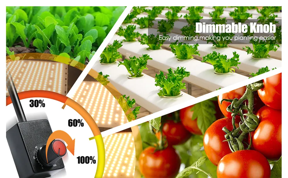 100-270V AC Waterproo IP65 LED Grow Light