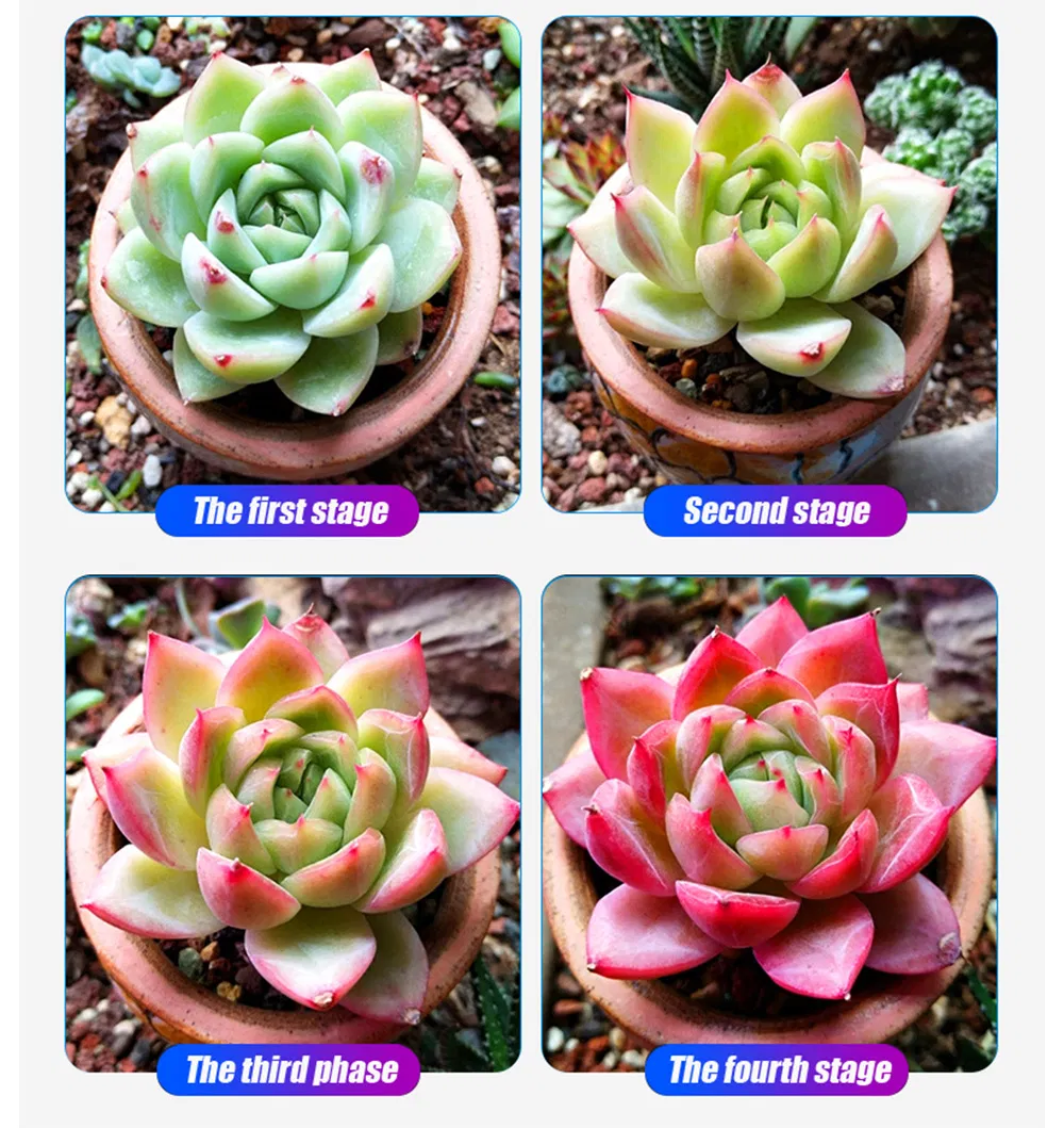 100-270V AC Waterproo IP65 LED Grow Light