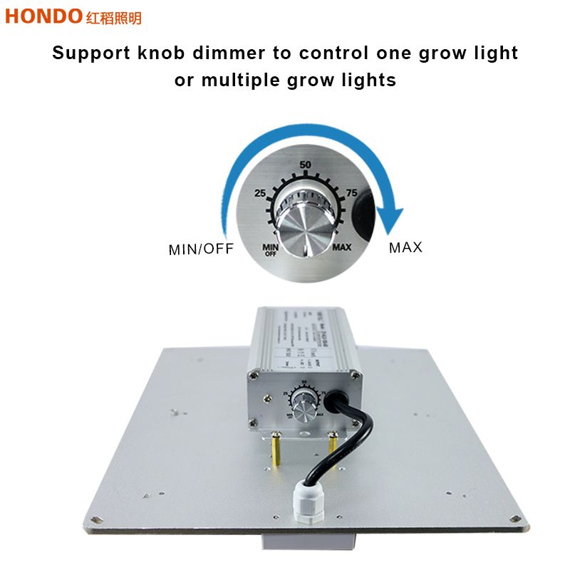 100W 200W 300W 400W 600W Hydroponic Quantum Board Lights Sulight Full Spectrum LED Grow Light