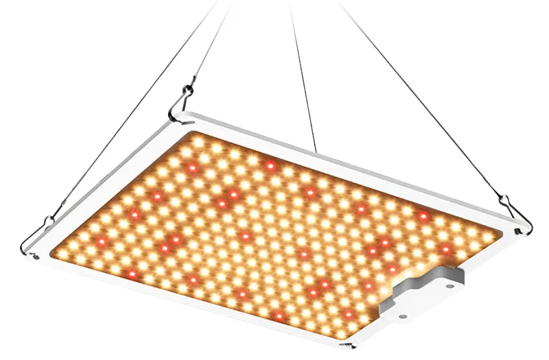 100W 200W 400W 600W Samsung Lm301b Lm301h Dimmable Driver High PPE Ppfd LED Grow Light