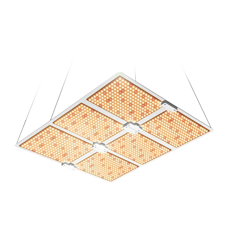 100W 200W 400W 600W Samsung Lm301b Lm301h Dimmable Driver High PPE Ppfd LED Grow Light