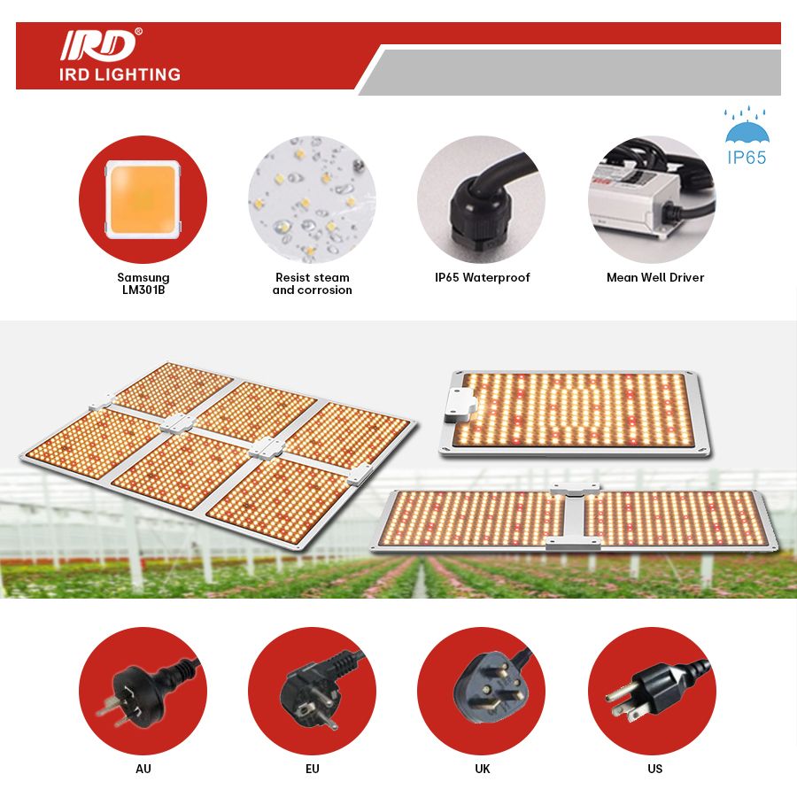 100W 200W 400W 600W Samsung Lm301b Lm301h Dimmable Driver High PPE Ppfd LED Grow Light