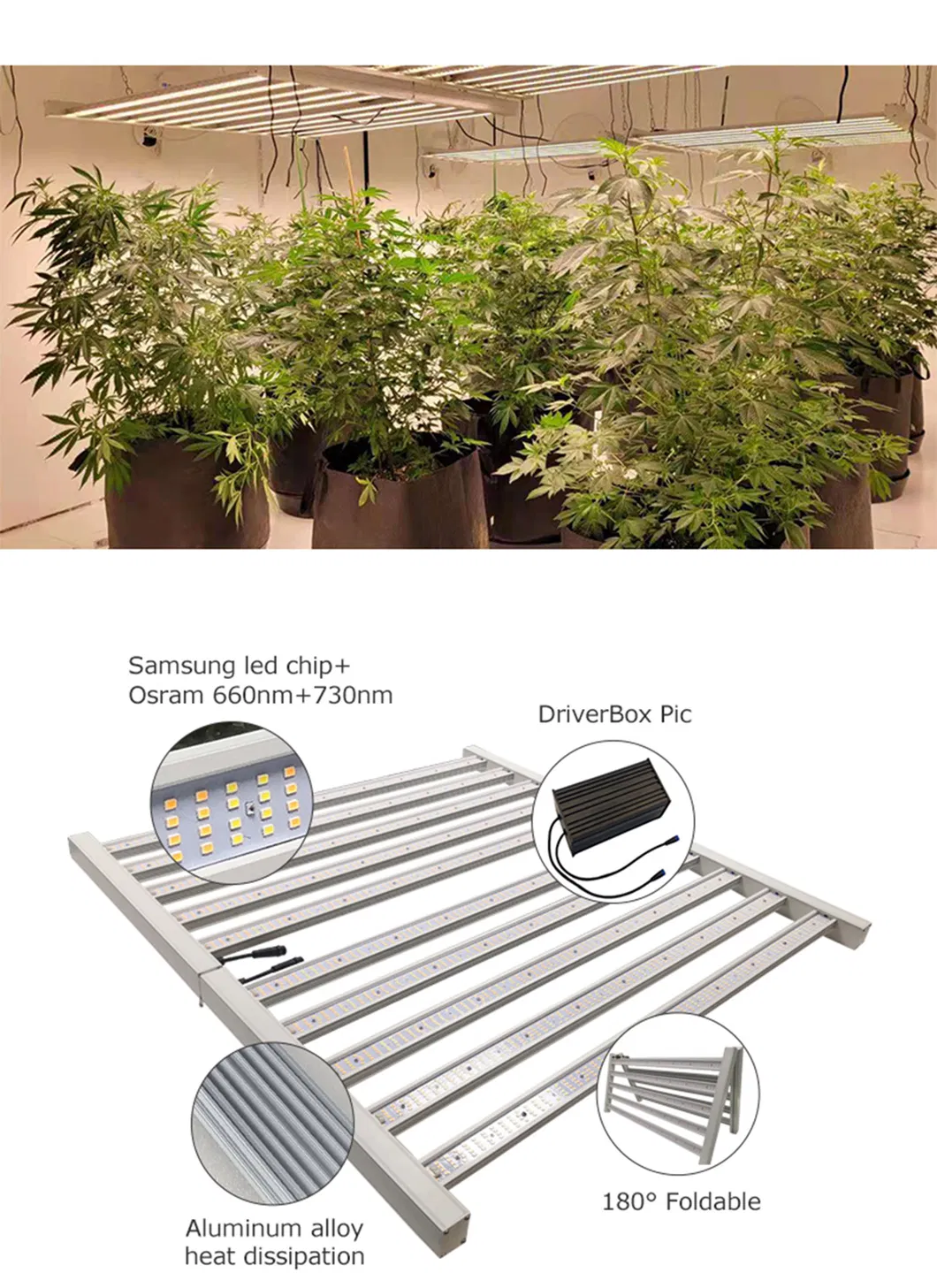 1200*1200mm 4fet 600W Aluminum Alloy Foldable LED Grow Light