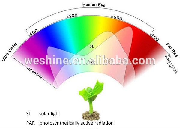 12W 24W LED Grow Light for Indoor Garden Hydroponic Plant