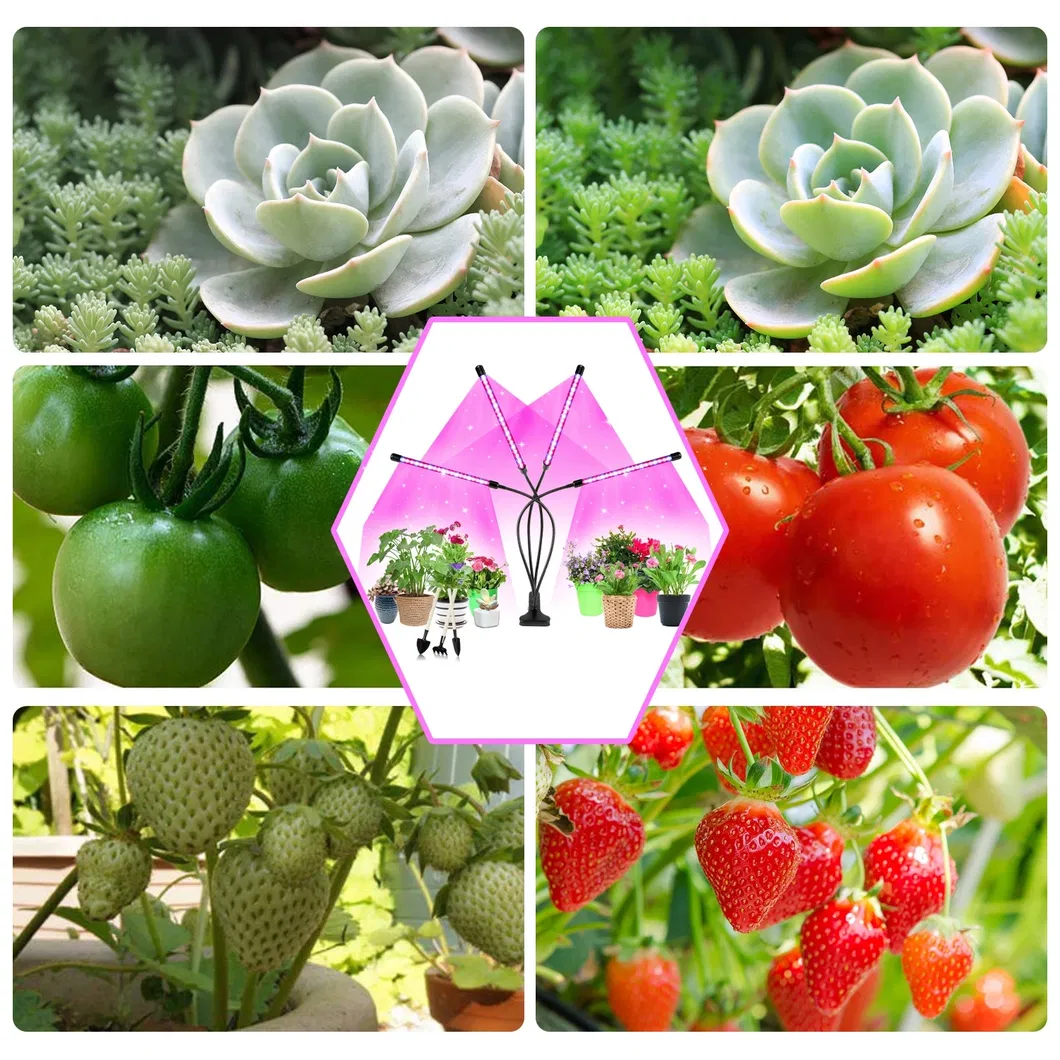2 Head Full Spectrum Red Blue Clip Grow Lights Timer Dimmable 2 3 4 5 Head Flexible Indoor Greenhouse LED Plant Growth Lights