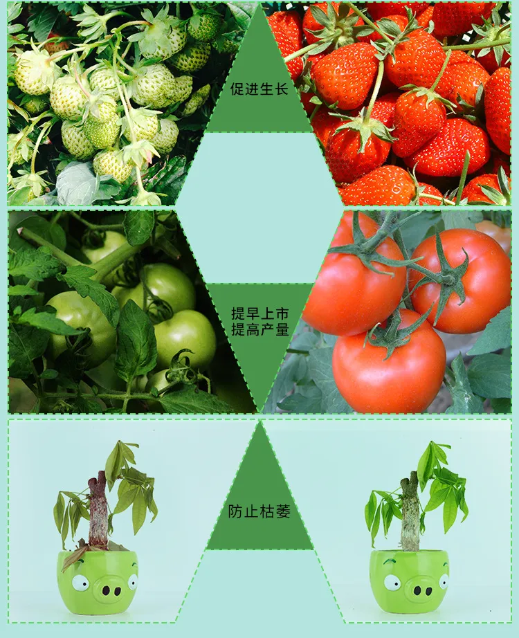 2 Heads Clip on Desk Sunlike Gooseneck 10 Dimmable Levels 4/8/12h Timer Setting 3 Switch Modes Full Spectrum LED Plant Lights for Indoor Plants