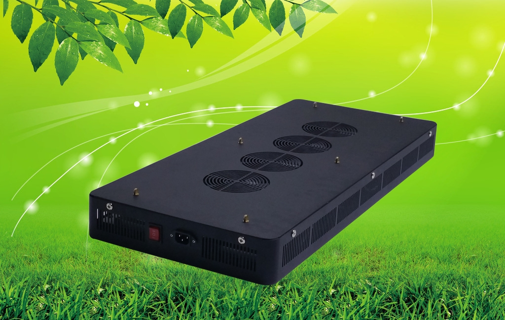 2021 High Lumen 1200W LED Grow Lighting for 2 Years Warranty