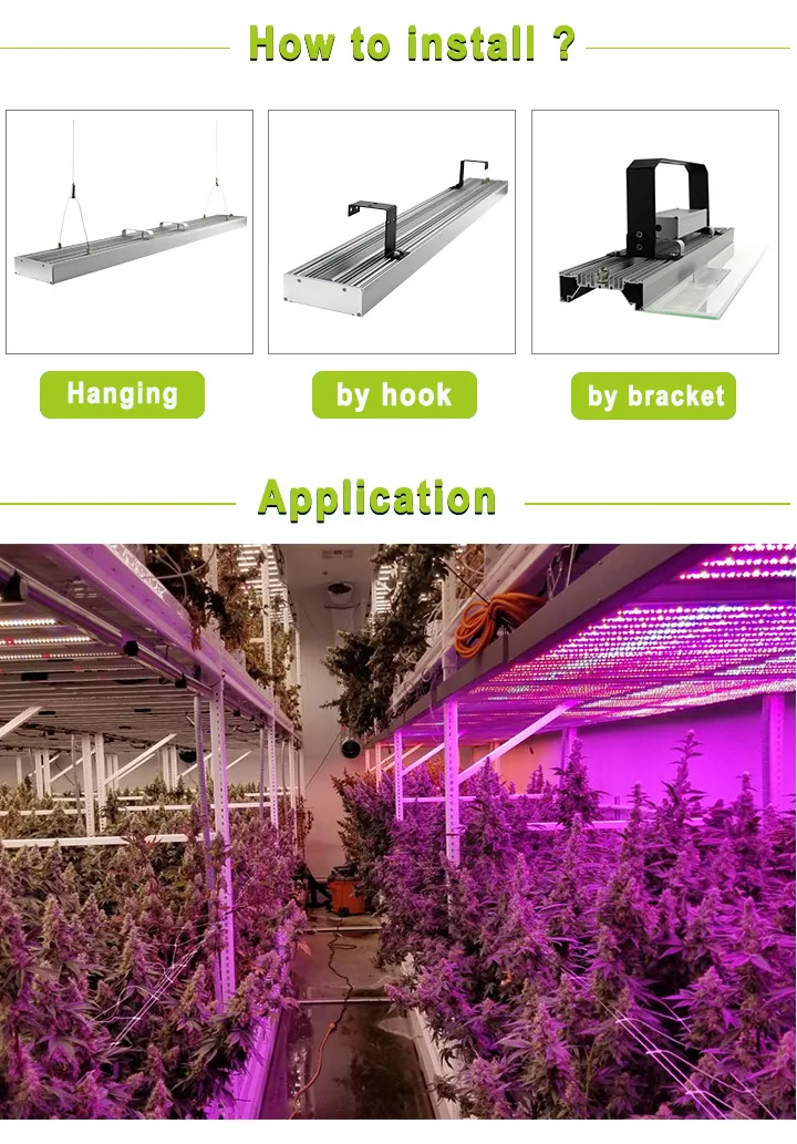 2019 High PAR Value Dimmer Full Spectrum COB Hemp LED Grow Light