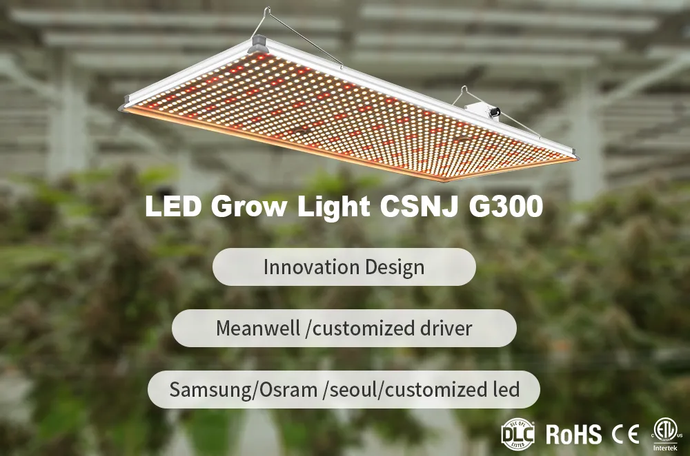 2020 Best Pre Assembled Dimmable 320W Lm301h LED Grow Light LED Full Sprectrum PCB Panel Light for Indoors