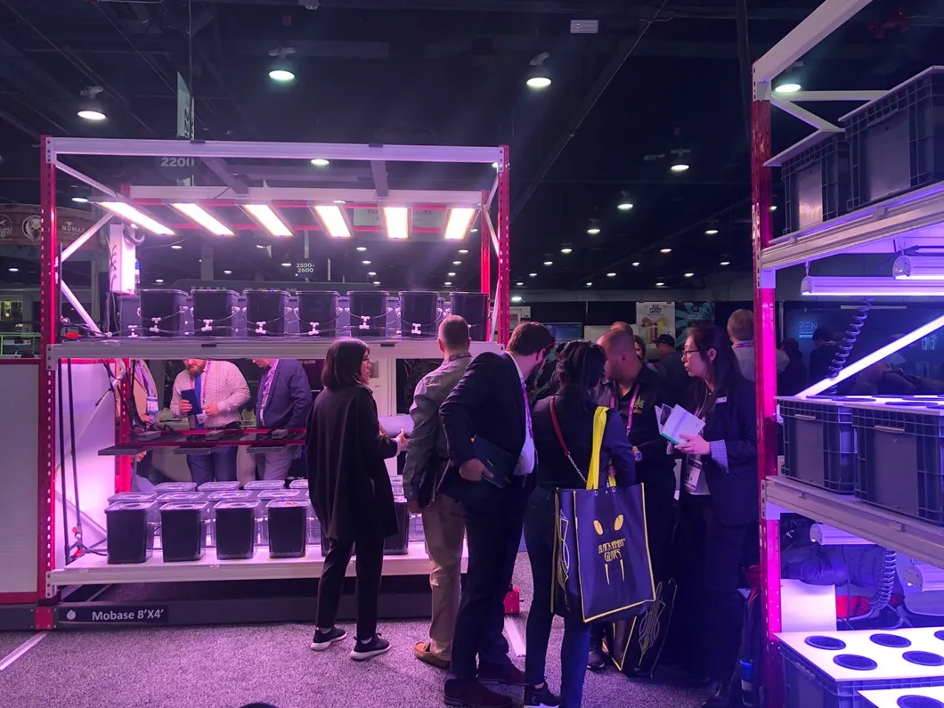 2020 New Design 300W LED Light for Indoor Plants Wholesale