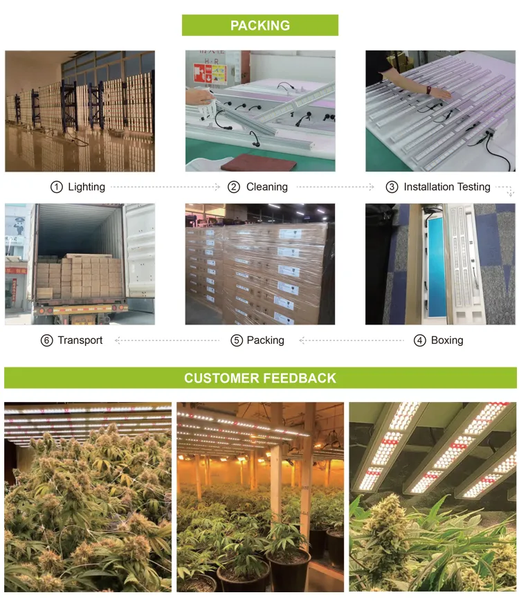 2021 Best Commercial Hortibloom 8 Bar 650W Samsong Full Spectrum LED Grow Light