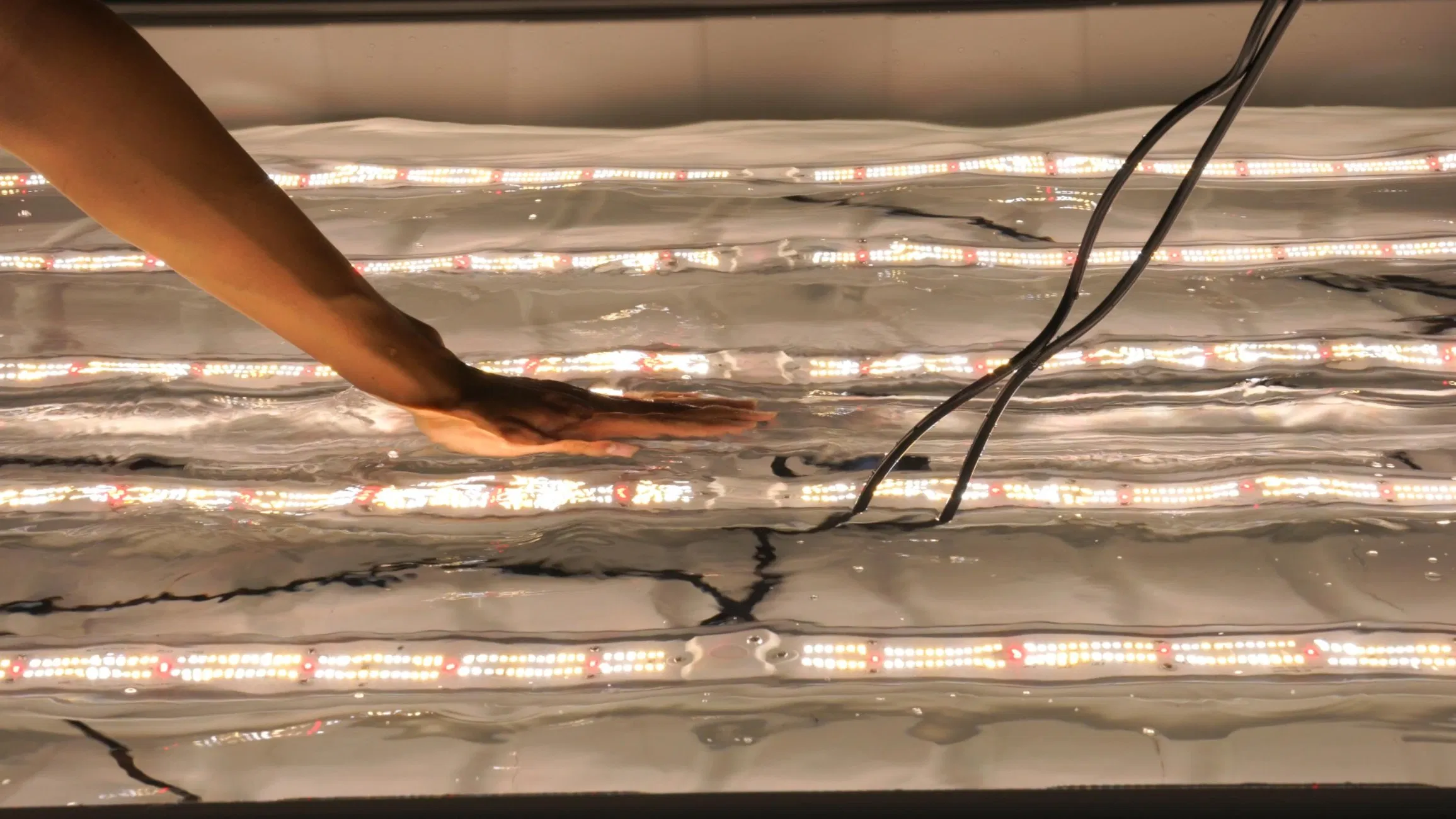 2021 Best LED Grow Light 640W Dimmable Osram 660nm