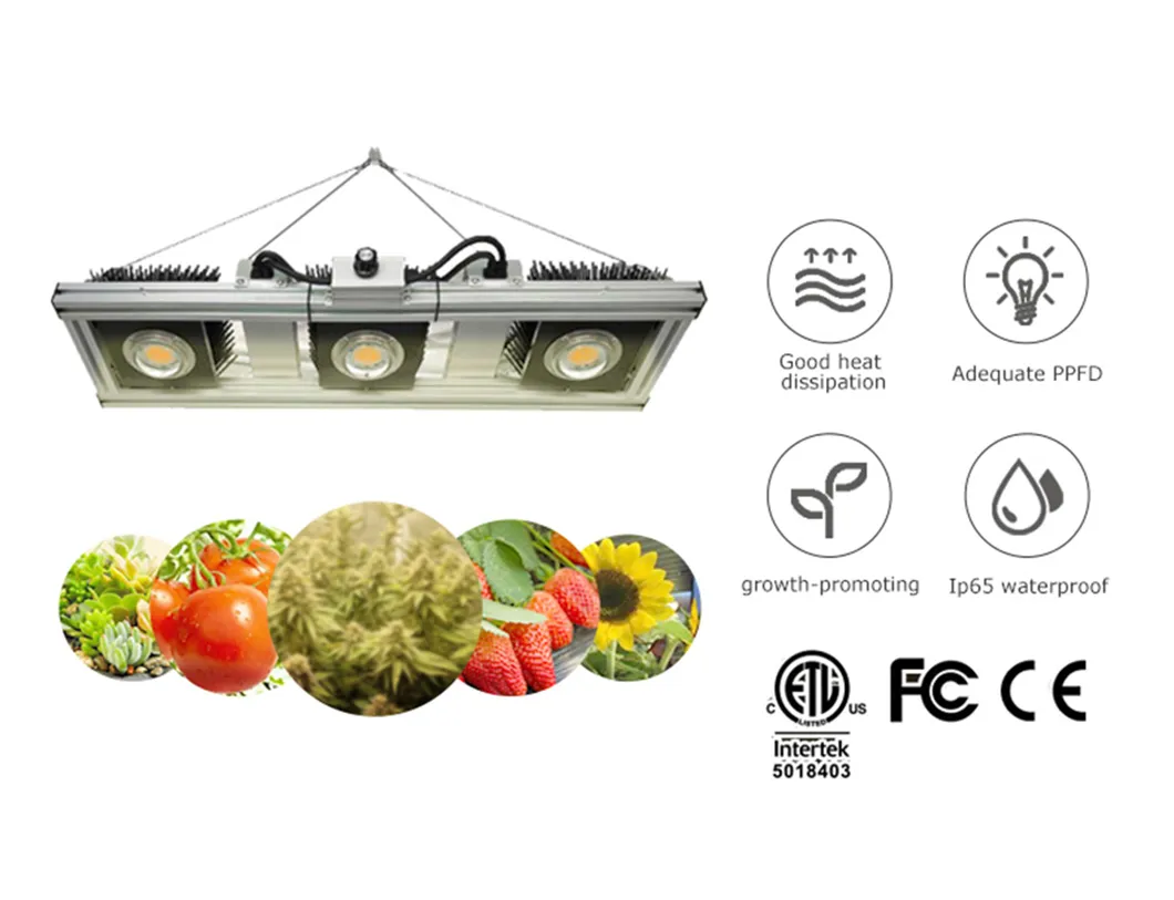 2021 China Supplier Green House Samsung 301b Lm561c LED Grow Lights Vertical Farming Sf4000 2000sf 640W 800W for Indoor Plants