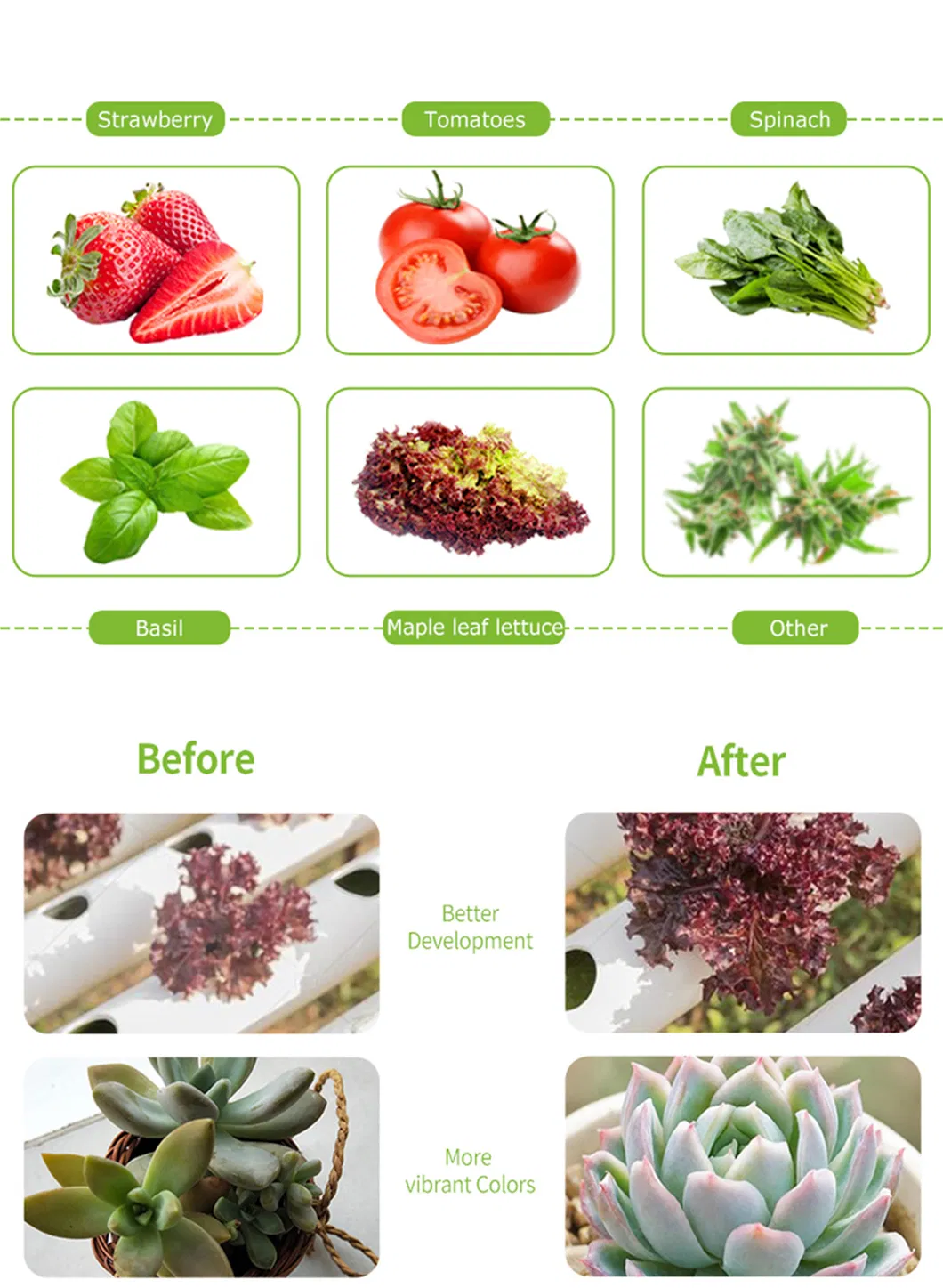 2021 China Supplier Green House Samsung 301b Lm561c LED Grow Lights Vertical Farming Sf4000 2000sf 640W 800W for Indoor Plants