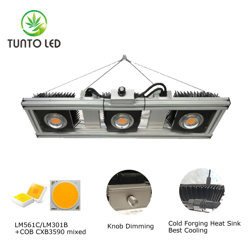 2021 China Supplier Green House Samsung 301b Lm561c LED Grow Lights Vertical Farming Sf4000 2000sf 640W 800W for Indoor Plants