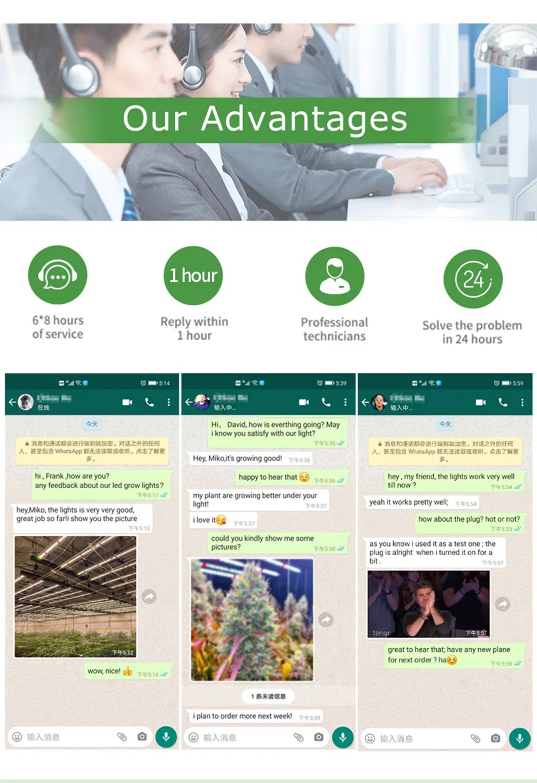 2021 China Supplier Green House Samsung 301b Lm561c LED Grow Lights Vertical Farming Sf4000 2000sf 640W 800W for Indoor Plants