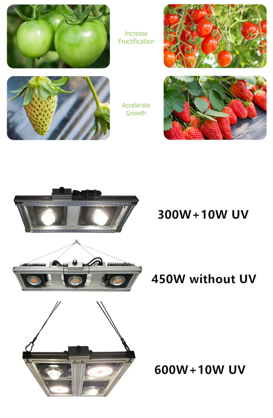 2021 China Supplier Green House Samsung 301b Lm561c LED Grow Lights Vertical Farming Sf4000 2000sf 640W 800W for Indoor Plants