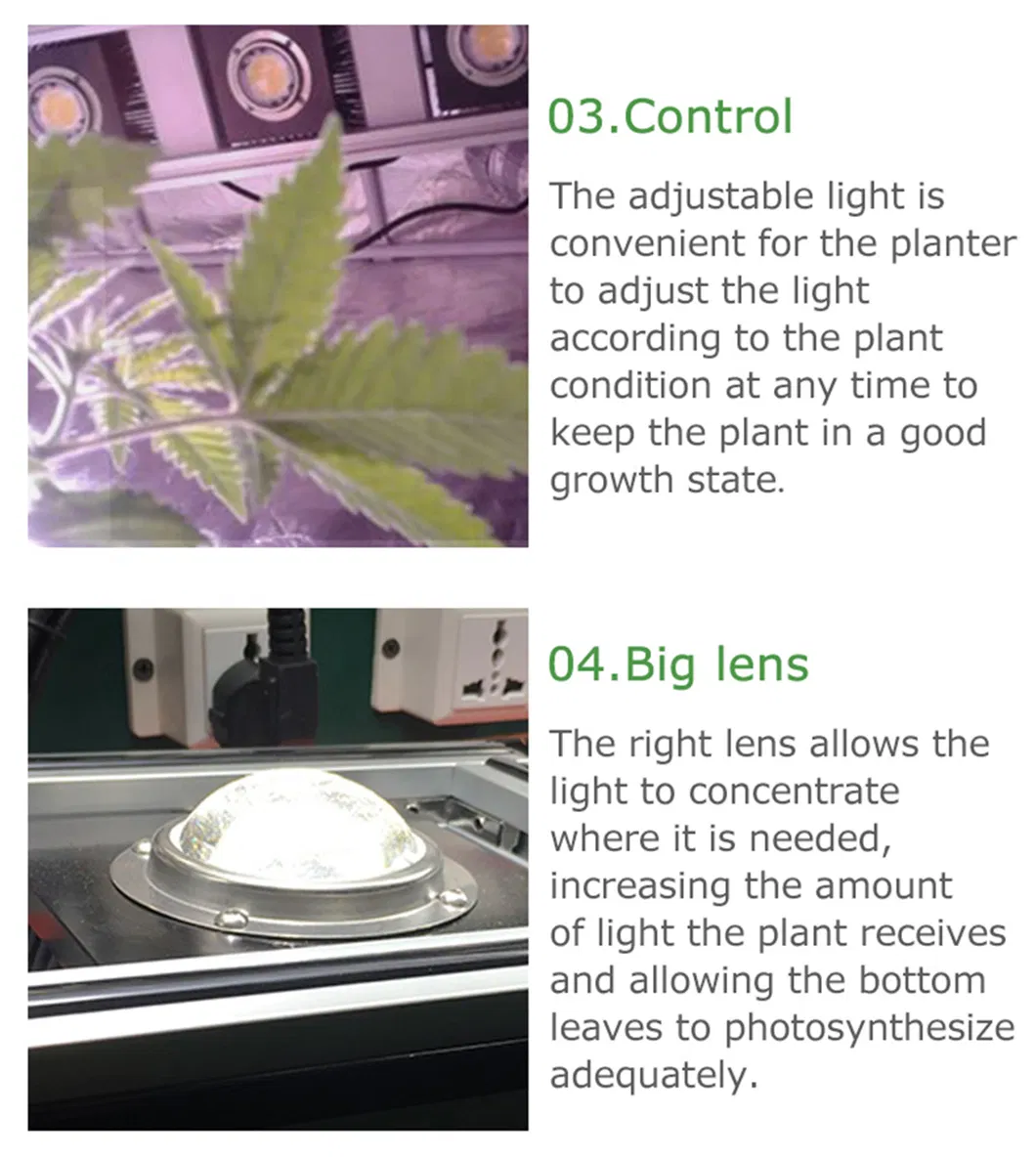 2021 China Supplier Green House Samsung 301b Lm561c LED Grow Lights Vertical Farming Sf4000 2000sf 640W 800W for Indoor Plants