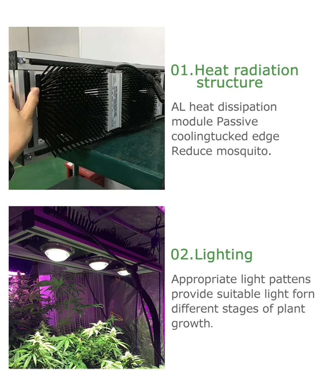 2021 China Supplier Green House Samsung 301b Lm561c LED Grow Lights Vertical Farming Sf4000 2000sf 640W 800W for Indoor Plants