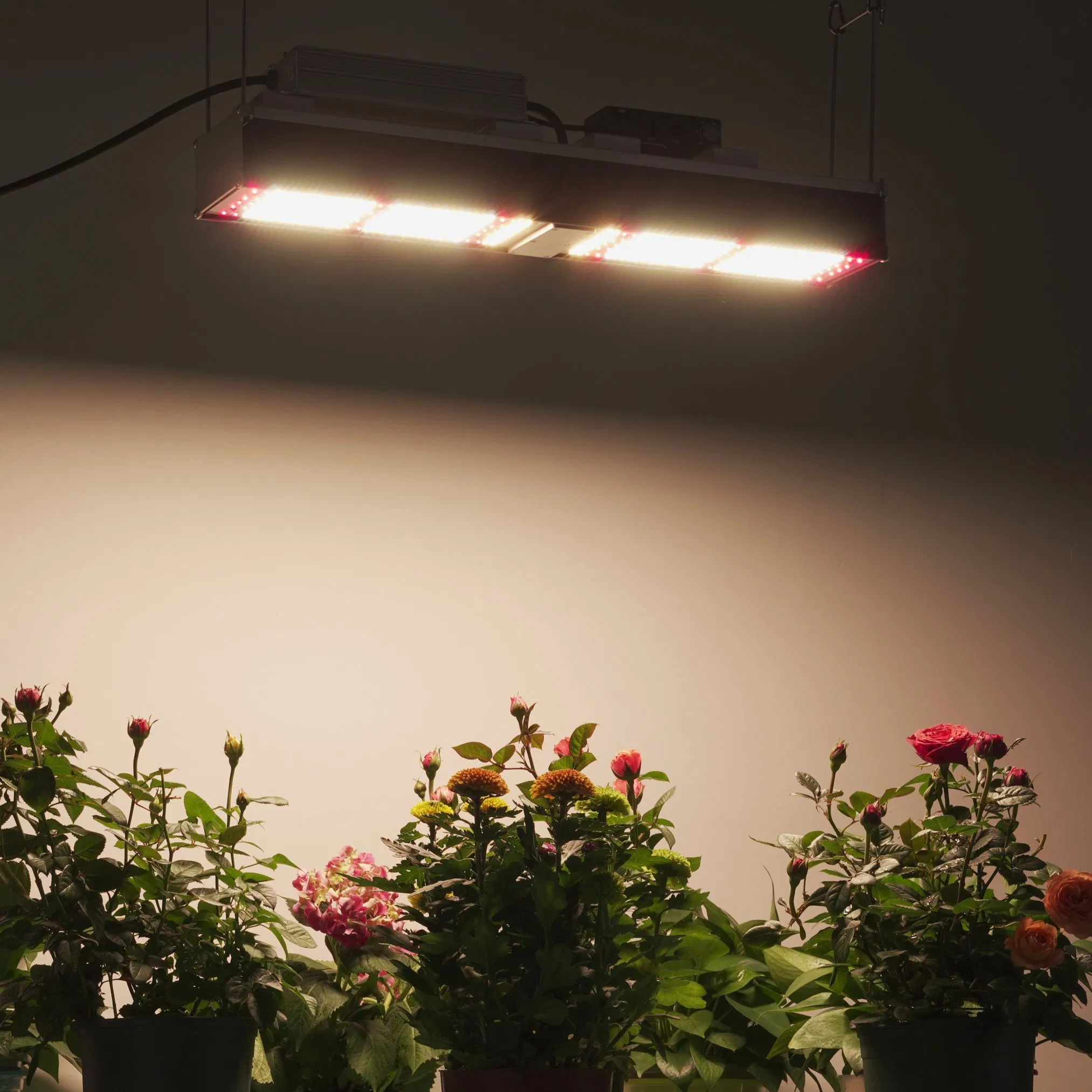 2021 High Efficacy Hydroponic Growing Systems LED Plant Growing Light Bar Samsung Lm301h 300W LED Grow Light