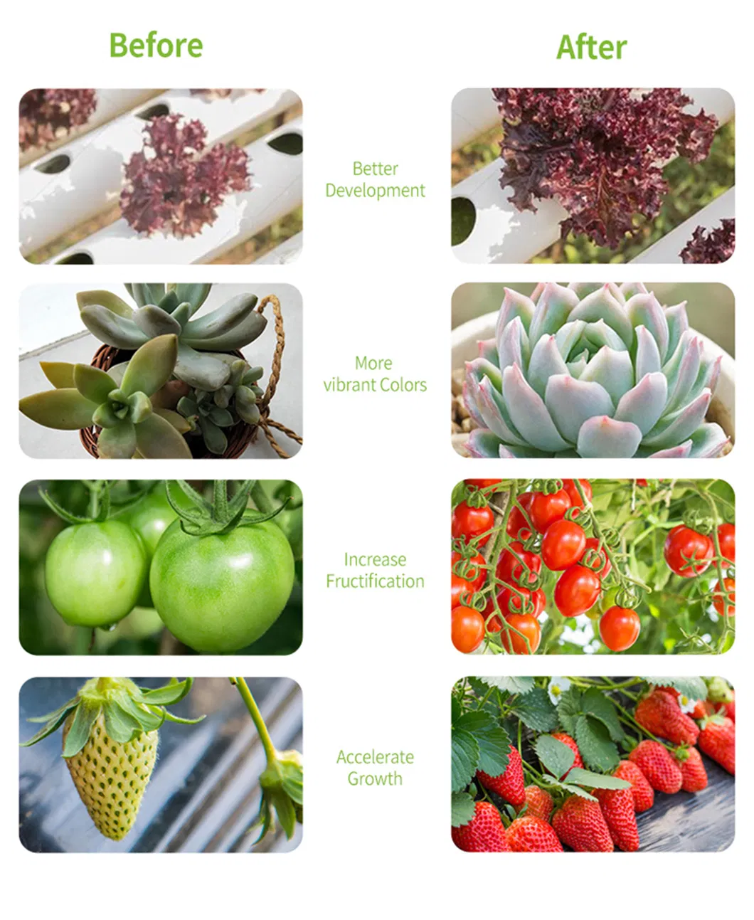 2021 New Arrival 660W Samsung Osr LEDs 1700e PRO Plants Grow Light LED for Greenhouse Tent