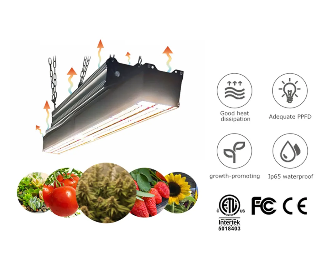 2021 New Arrival 660W Samsung Osr LEDs 1700e PRO Plants Grow Light LED for Greenhouse Tent