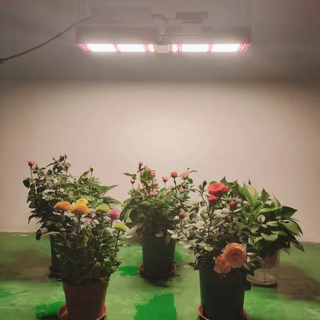 2021 Newest Sundopt Lm301b 350W 400W UV LED Grow Lights for Indoor Plant