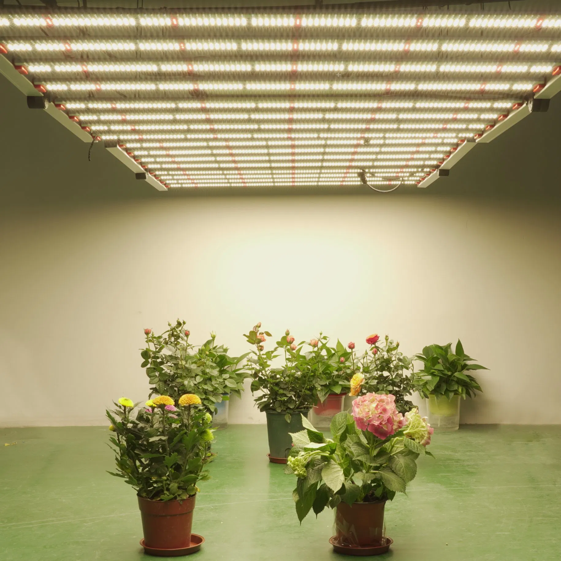 2021 Newest UVA 440nm 730nm 3500K Red 660nm Full Spectrum LED Grow Light for Indoor Plant