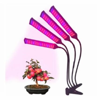 What types of plants can benefit from LED grow lights