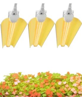 Illuminating Growth: Customizing LED Grow Lights for Tailored Plant Spectrums