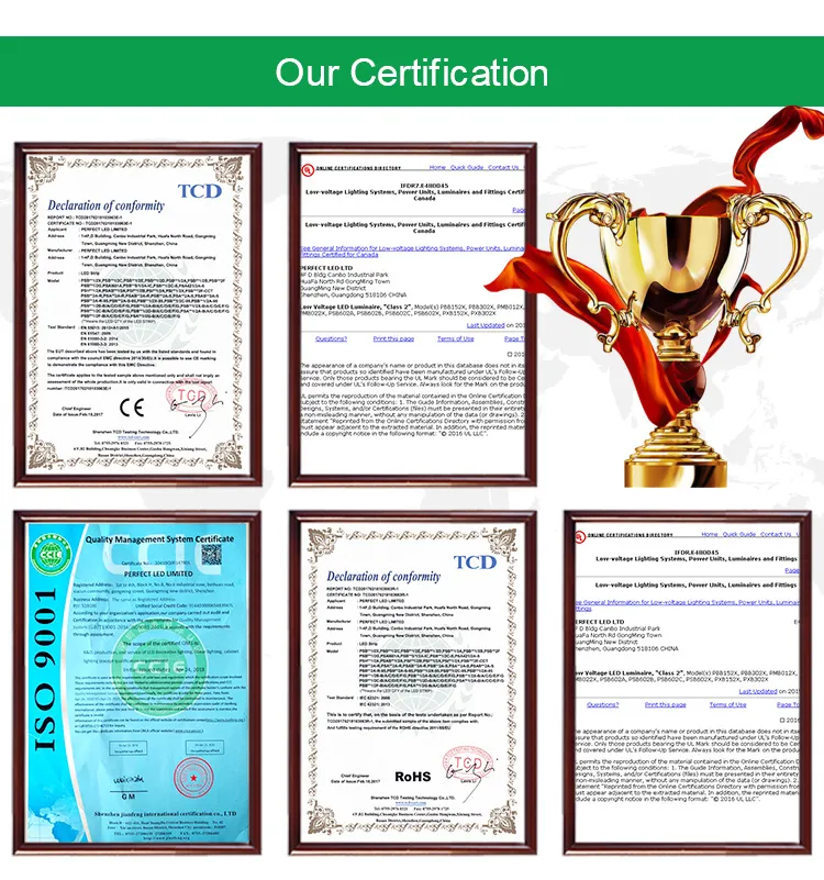 240W LED Grow Light Using Newest Sundopt Lm301b for Indoor Plants Growing Flower Stage Seeds Vegetative Stage Germination