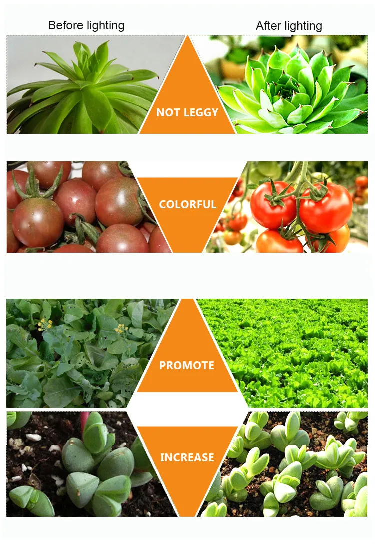 240W LED Grow Light Using Newest Sundopt Lm301b for Indoor Plants Growing Flower Stage Seeds Vegetative Stage Germination