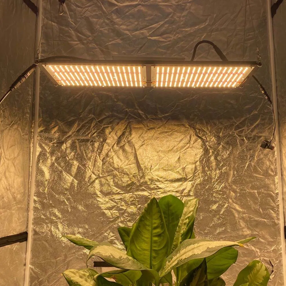 3000K 3500K 4000K Qb288 V2 Board Sam-Sung Lm301b Grow 240W LED Light with MW Driver