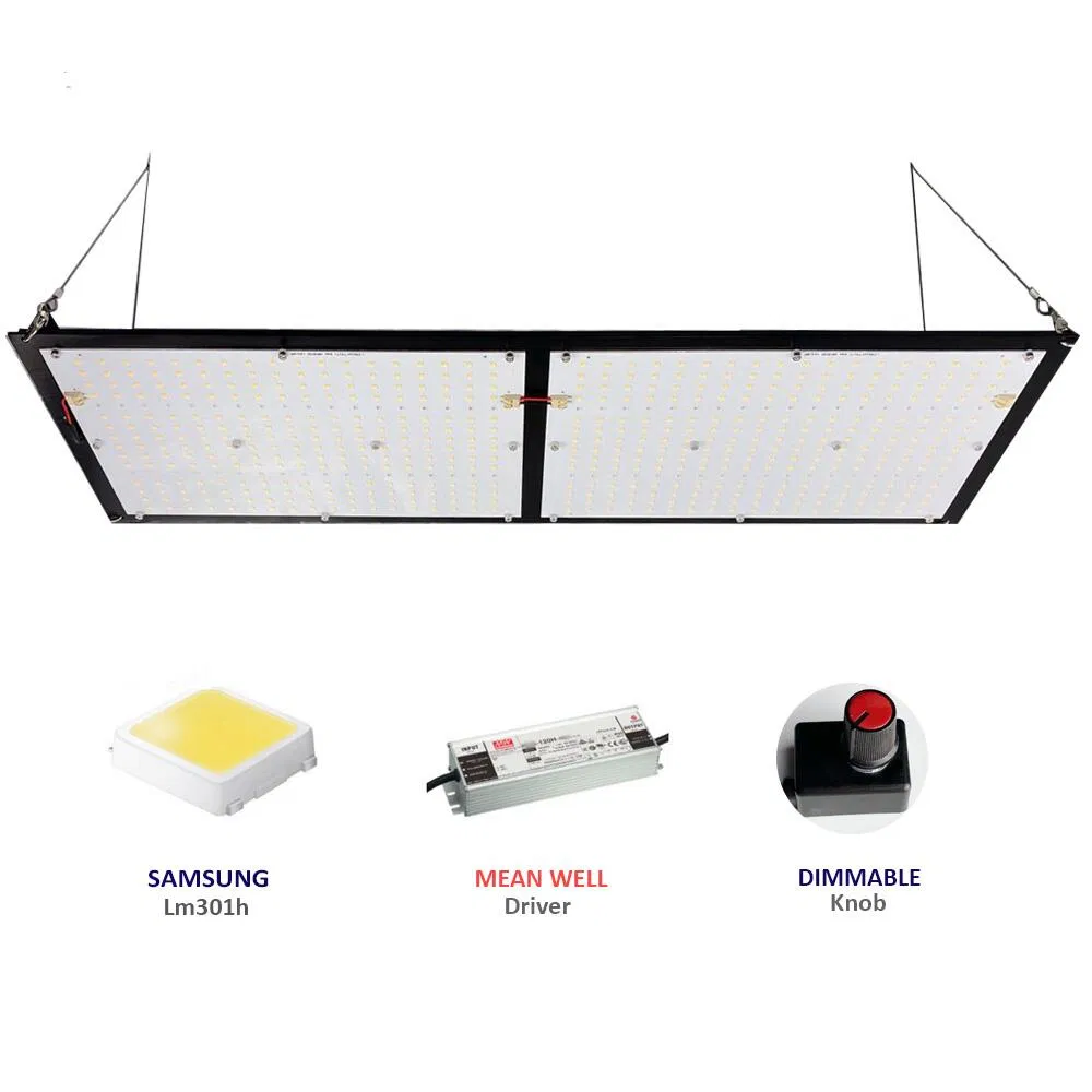 3000K 3500K 4000K Qb288 V2 Board Sam-Sung Lm301b Grow 240W LED Light with MW Driver
