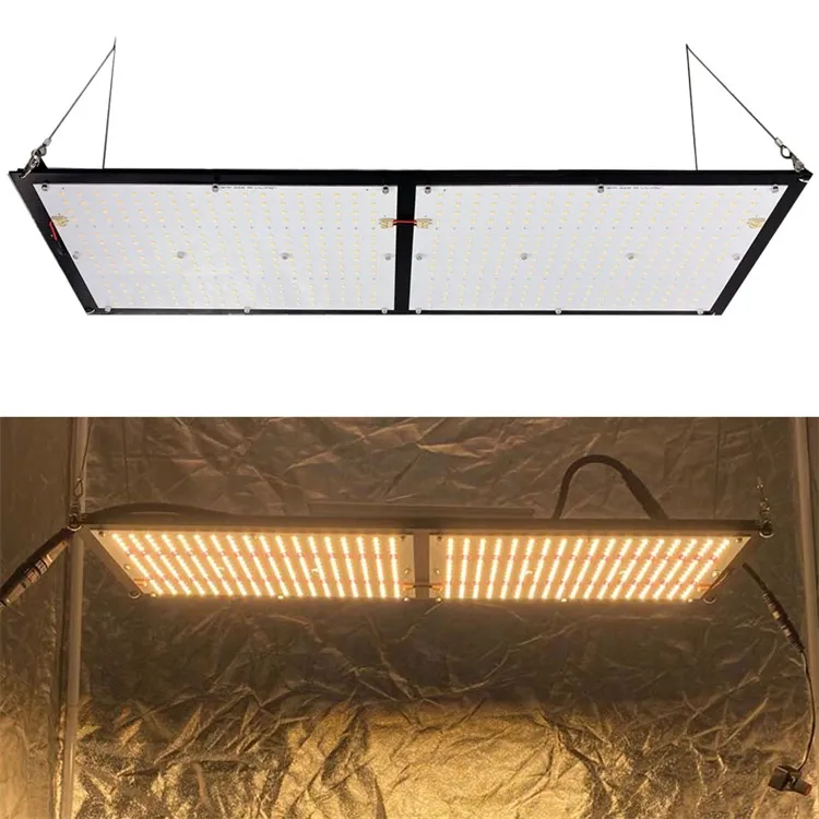 3000K 3500K 4000K Qb288 V2 Board Sam-Sung Lm301b Grow 240W LED Light with MW Driver