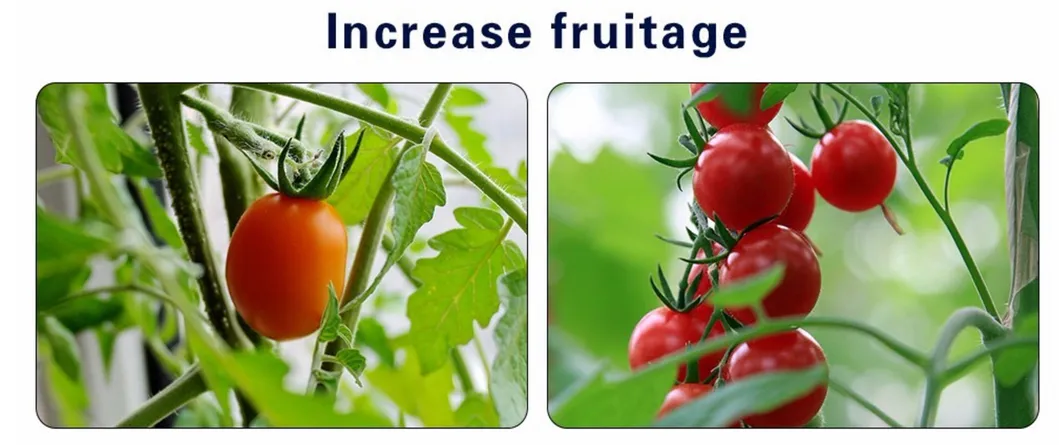 30W Full Spectrum LED Grow Work Light for Greenhouse to Supplement Lighting