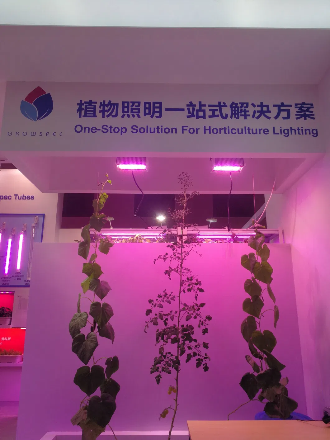 400W, 480W, 500W, 640W, 500W, 900W LED Grow Lights