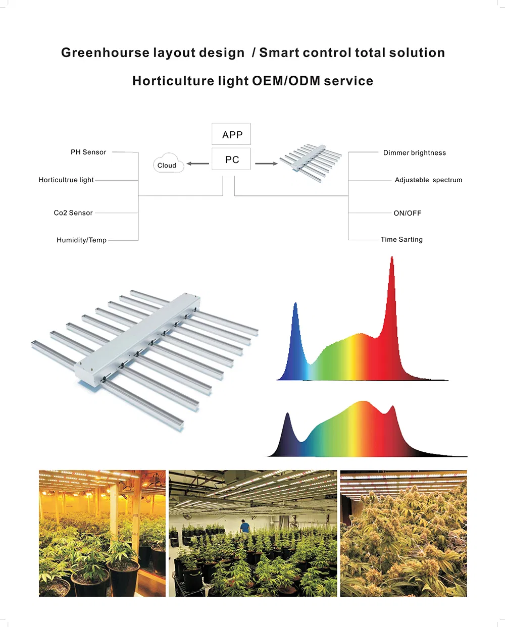 400W/600W/800W/1000W LED Full Spectrum Grow Work Light for Greenhouse to Supplement Lighting Medical Plants Herb USA