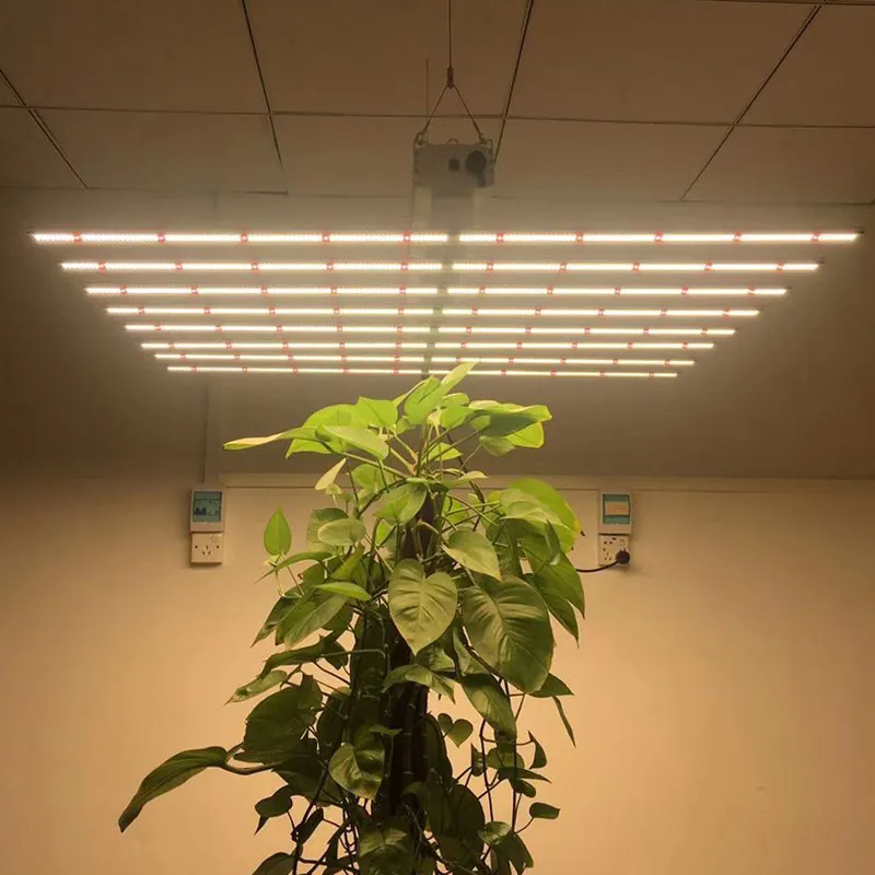480W Hydroponics Grow Light Spaider Full Spectrum for Plant Seeding Germinating Growing Blooming