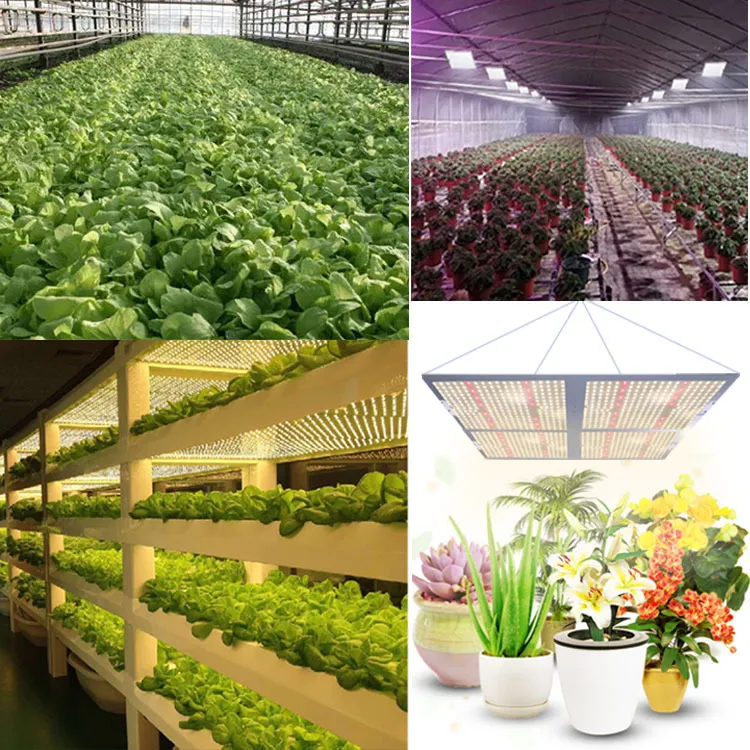 480W The New Design LED Grow Lights