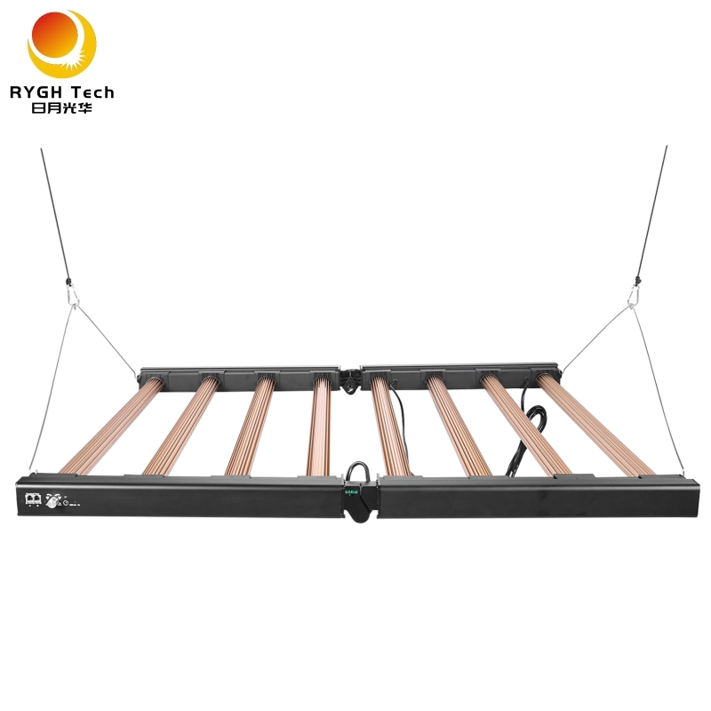 50000h LVD Approved Rygh Export Standard Paper Carton Lamp Gavita LED Grow Light