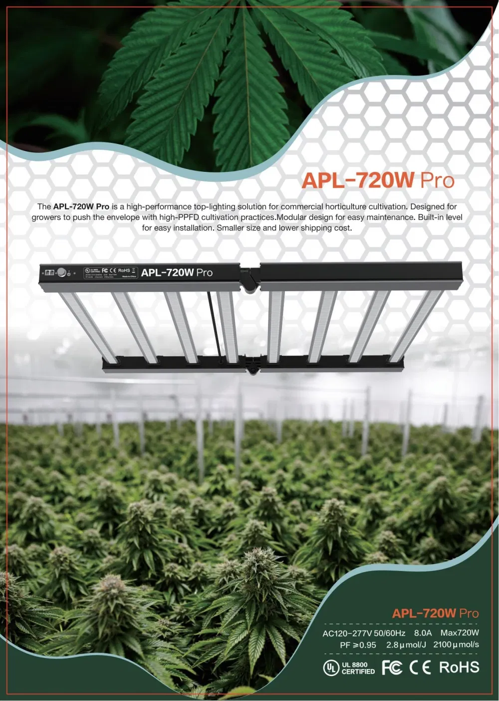 50000h LVD Approved Rygh Export Standard Paper Carton Lamp Gavita LED Grow Light
