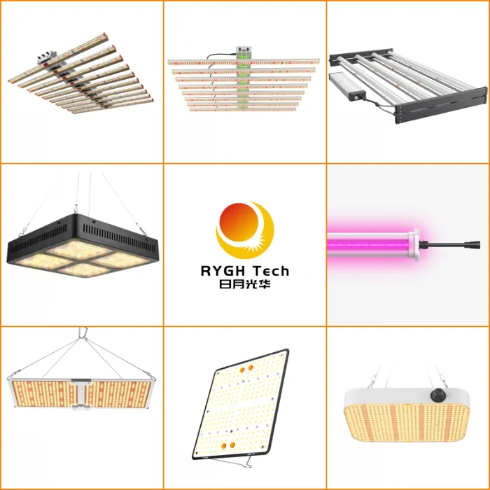 50000h LVD Approved Rygh Export Standard Paper Carton Lamp Gavita LED Grow Light