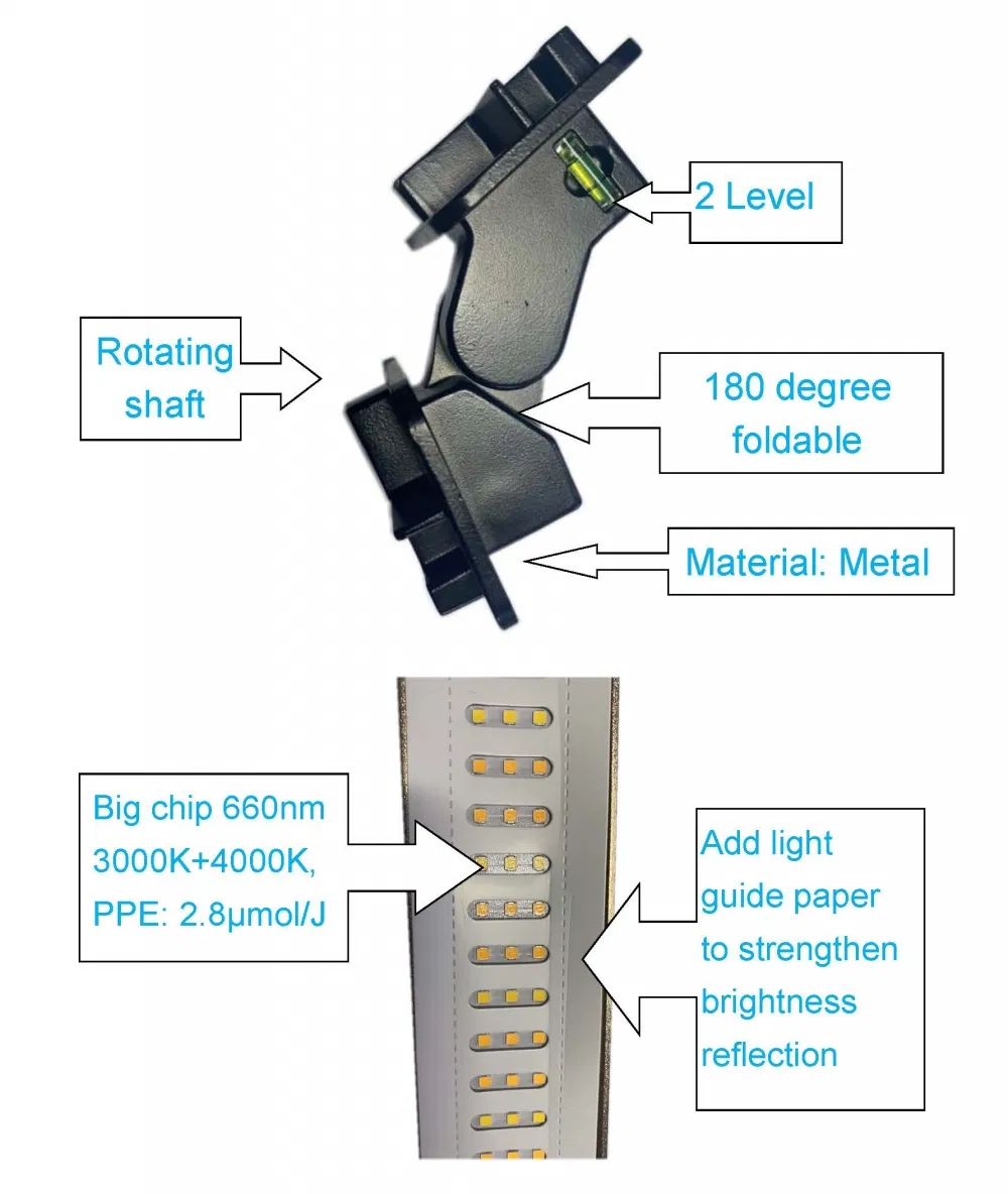50000h LVD Approved Rygh Export Standard Paper Carton Lamp Gavita LED Grow Light