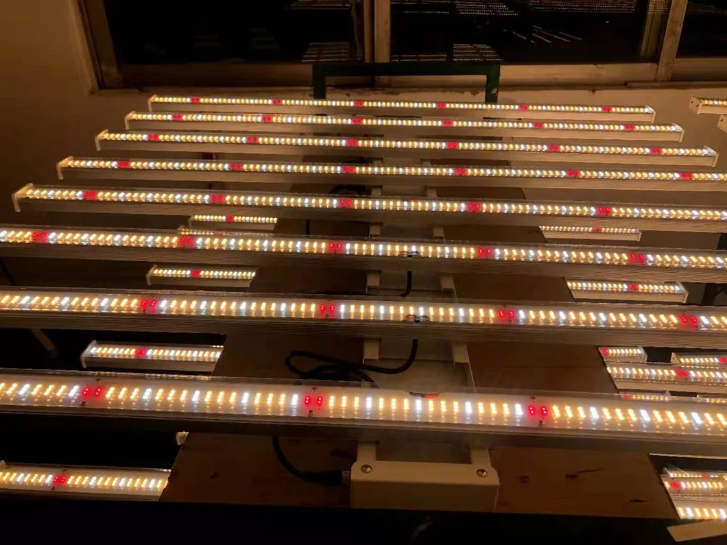 600W Grow Light LED Indoor Plants Veg and Flower Full Spectrum LED Grow Lights