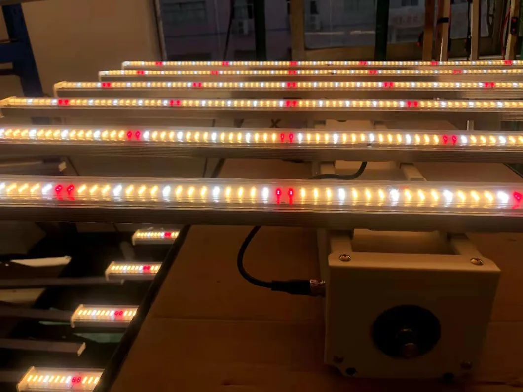 600W Grow Light LED Indoor Plants Veg and Flower Full Spectrum LED Grow Lights