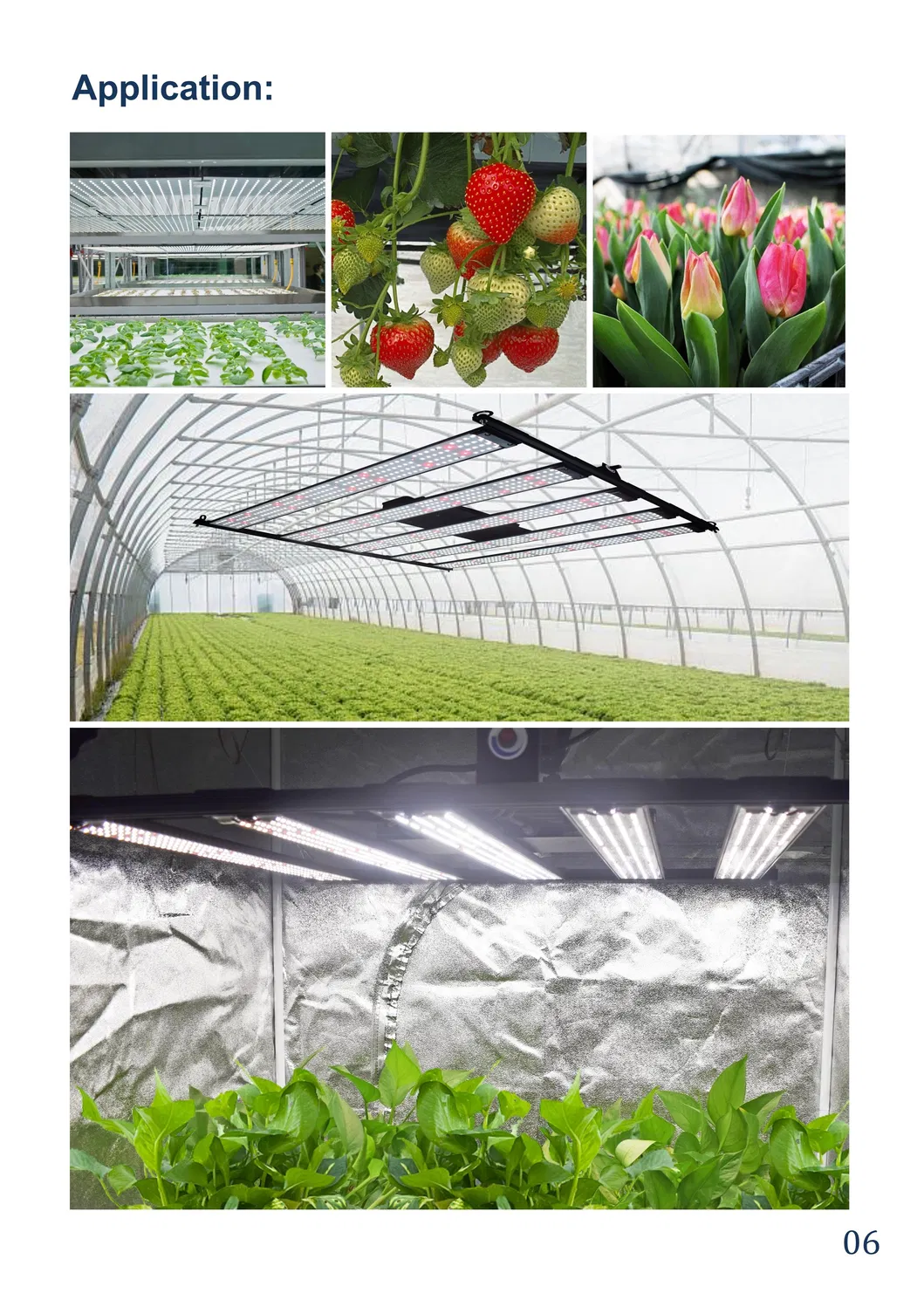 600W LED Grow Lights 1600PCS Full Spectrum Samsug Orsam Chip