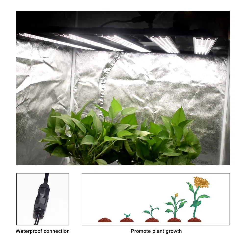 600W LED Grow Lights 1600PCS Full Spectrum Samsug Orsam Chip