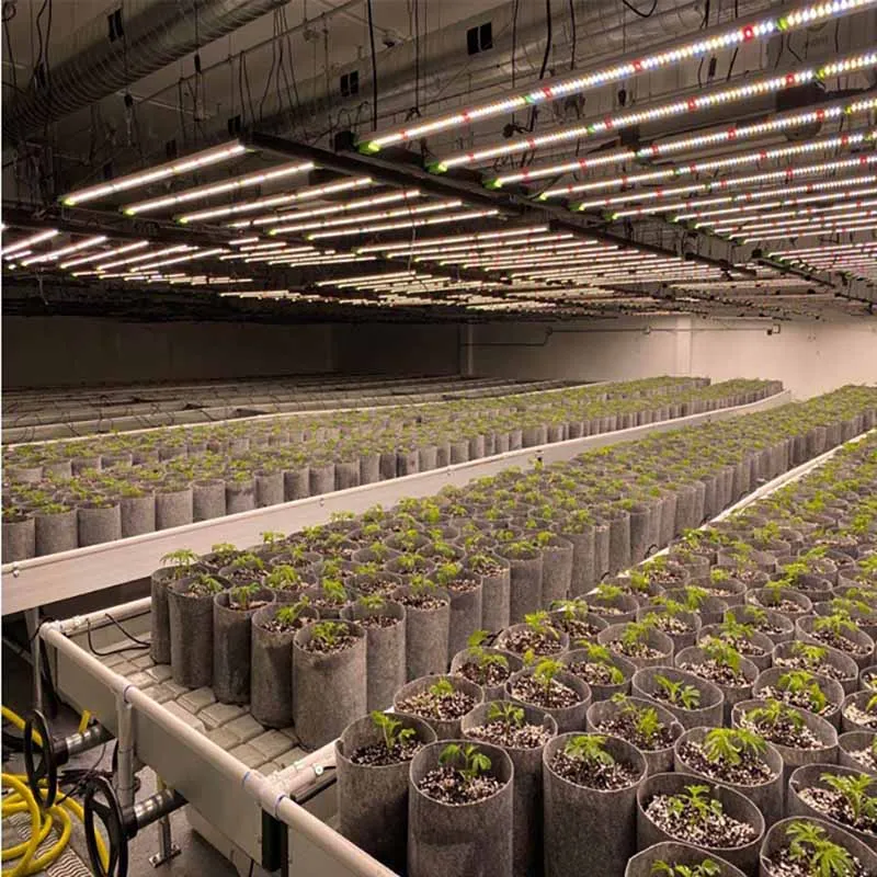 600W LED Growing Lights for Indoor Plants with Full Spectrum White